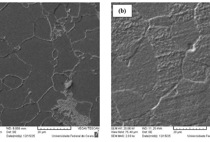Análise microestrutural comparativa dos aços AISI 8630M e ASTM A182 F-22