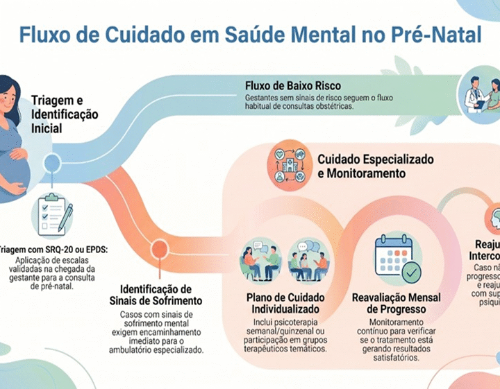Sofrimento psíquico em gestantes de alto risco: uma análise qualitativa em um ambulatório de referência no estado do Mato Grosso, Brasil